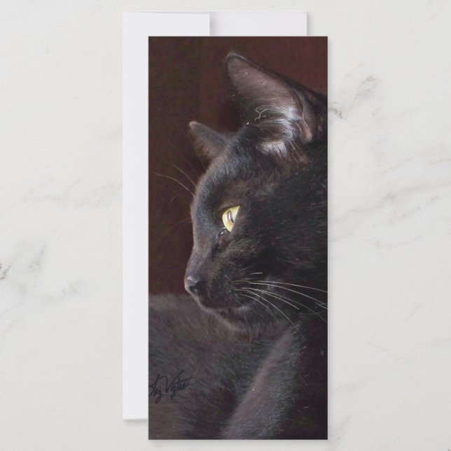 Carte Portrait My Boy Charlie Signet (Devant)