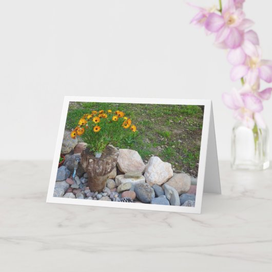 Carte Portrait Orange African Daisies (Orchidée)
