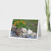 Carte Portrait Orange African Daisies (Devant)