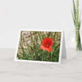 Carte Portrait Red Poppy (Devant)