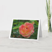 Carte Portrait Rose rose et jaune (Devant)