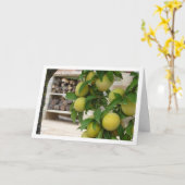 Carte Portrait rustique de prune jaune (Fleur jaune)