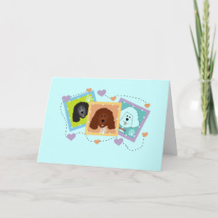 Carte Portraits de chiens T-shirts et cadeaux