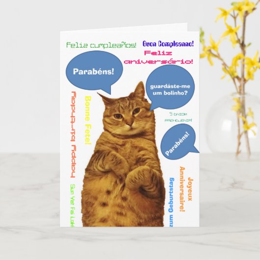 Carte Portugais : Parabens ! chat idiot (Fleur jaune)