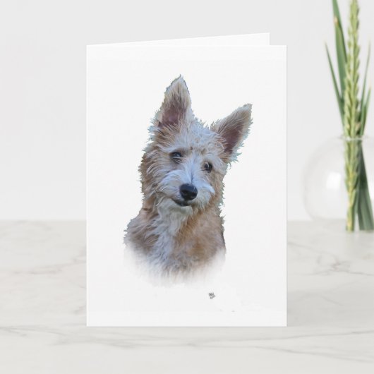 Carte Portugais Podengo (Devant)