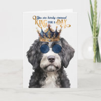 Portugais Water Dog King pour une journée d'annive