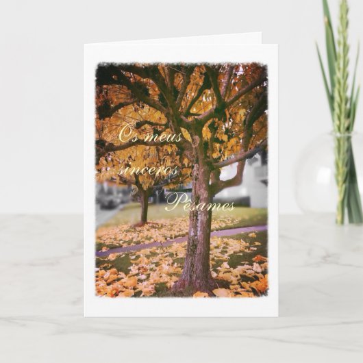 Carte Portuguese sympathy card/condolencias: Fall tree (Devant)