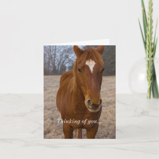 Carte Pose de cheval Pensant à vous (Devant)