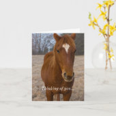 Carte Pose de cheval Pensant à vous (Fleur jaune)
