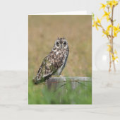 Carte Pose de hibou (Fleur jaune)