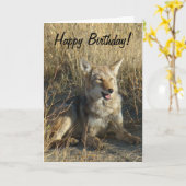 Carte Pose du coyote R18 (Fleur jaune)