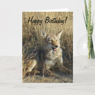 Carte Pose du coyote R18