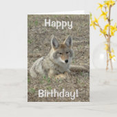 Carte Pose du coyote R22 (Fleur jaune)