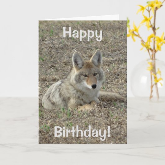 Carte Pose du coyote R22 (Fleur jaune)