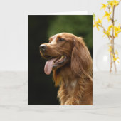 Carte Poseur irlandais 2 (Fleur jaune)