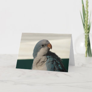 Carte Posing pour la caméra