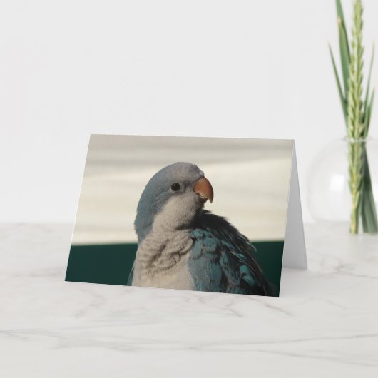 Carte Posing pour la caméra (Devant)