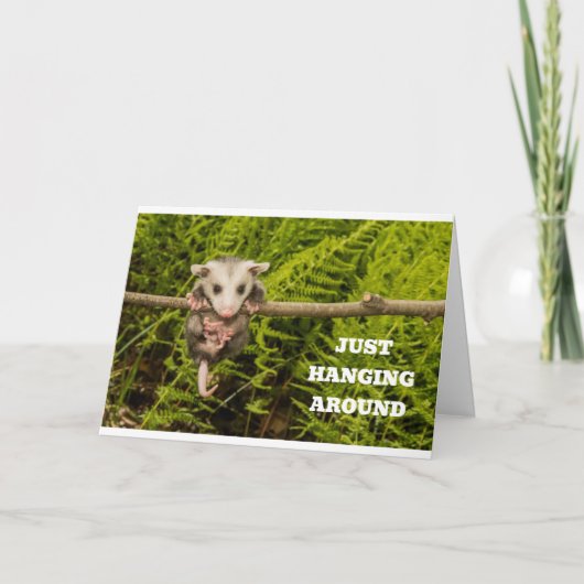 CARTE POSSUM HUMOUR POUR "VOTRE" ANNIVERSAIRE (Devant)