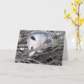Carte Possum Opossum (Fleur jaune)
