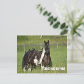 CARTE POST HORSE (Debout devant)