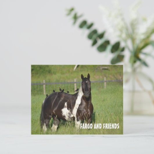 CARTE POST HORSE (Debout devant)