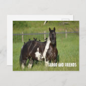 CARTE POST HORSE (Devant / Derrière)