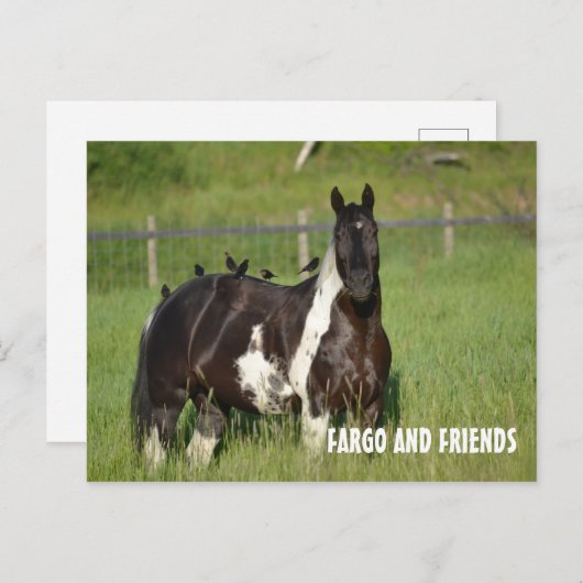 CARTE POST HORSE (Devant / Derrière)