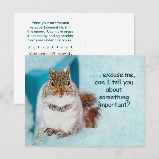 CARTE POST - PUBLICITÉ - SQUIRREL CUTE (Devant / Derrière)