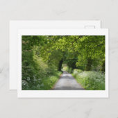 Carte postale (Devant / Derrière)