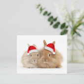 Carte postale (Debout devant)