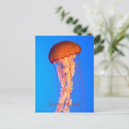 Carte postale (Debout devant)