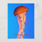 Carte postale (Devant)