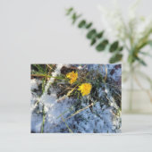 Carte postale (Debout devant)