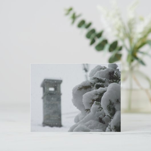 Carte postale (Debout devant)