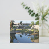 Carte postale (Debout devant)