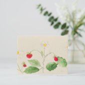 carte postale (Debout devant)