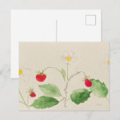 carte postale (Devant / Derrière)