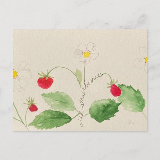 carte postale (Devant)