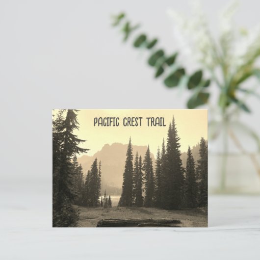 Carte postale (Debout devant)