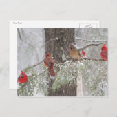 Carte postale (Devant / Derrière)