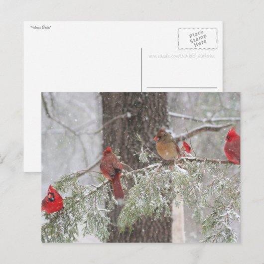 Carte postale (Devant / Derrière)