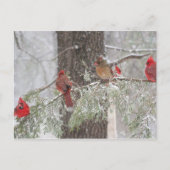 Carte postale (Devant)