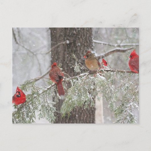 Carte postale (Devant)