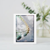 carte postale (Debout devant)