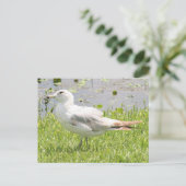 Carte postale (Debout devant)