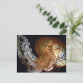 Carte postale (Debout devant)