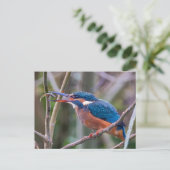 Carte postale (Debout devant)