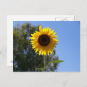 Carte postale (Devant / Derrière)