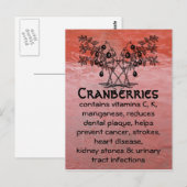 carte postale (Devant / Derrière)