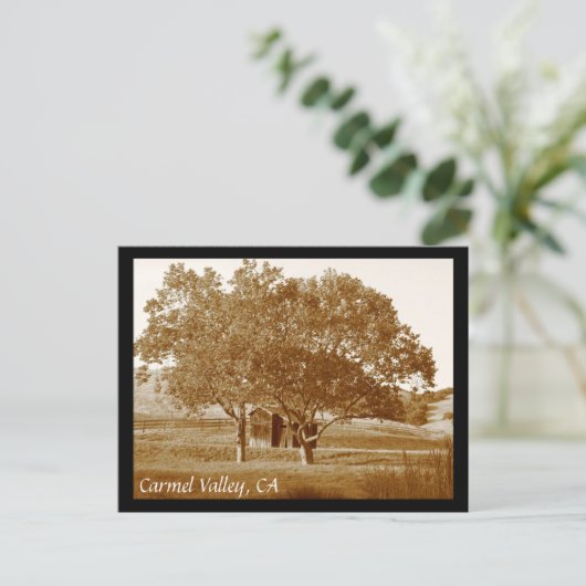 Carte postale (Debout devant)